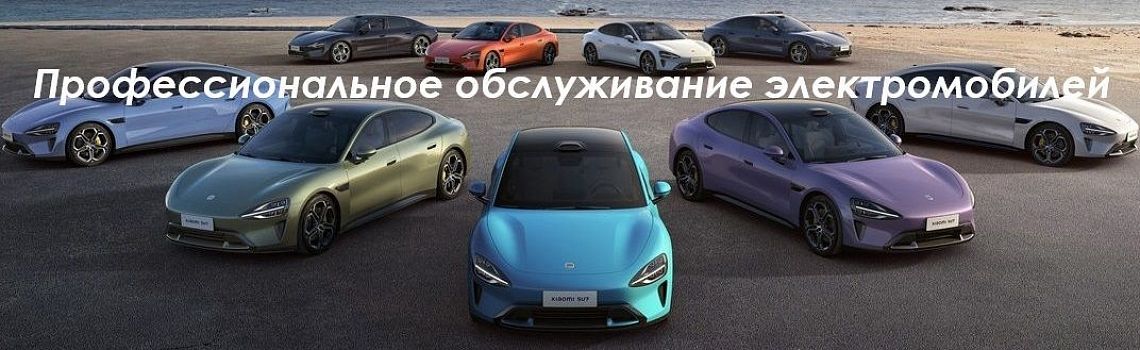 Профессиональное обслуживание электромобилей Профессиональное обслуживание электромобилей